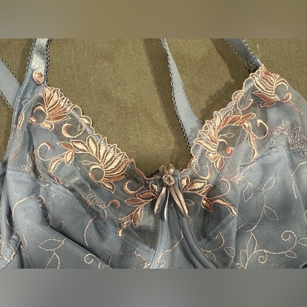 Elegant Lace Embroidered Blue and Pink Unlined Underwire Bra Size 40DD